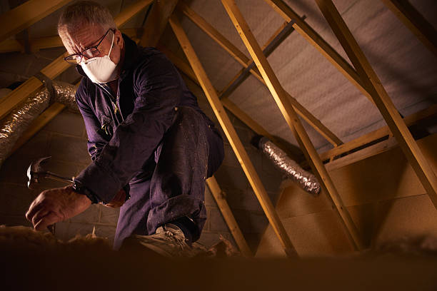 Professional Insulation Contractor in Duarte, CA